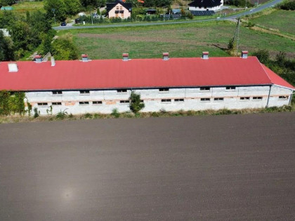 Lokal Święta Katarzyna