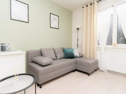 Mini kawalerka, pet-friendly- Płatnerska 61