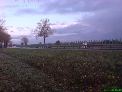 Działka Borowa Oleśnicka