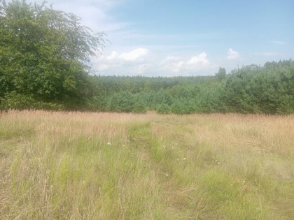 Działka 3003 m2