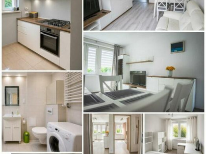 3 oddzielne pokoje |1. piętro | balkon | duża piwnica