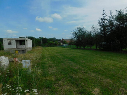 Syndyk sprzeda - Rykały