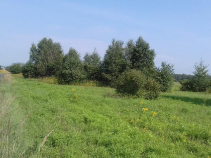 Działka Niegowoniczki