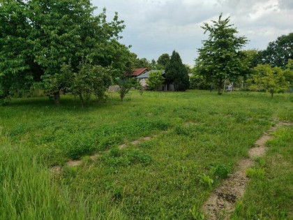 DZIAŁKA KROMERA-TORUŃSKA