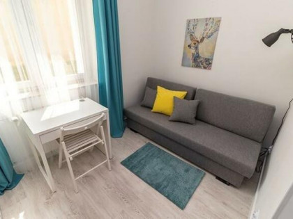 Narutowicza 56 C, studio w centrum, pet-friendly