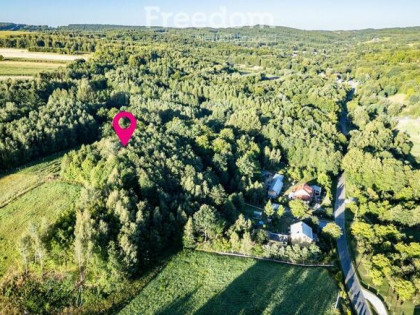 Malownicza działka z własnym lasem (43 ar)