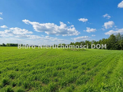 Działka budowlana Cielętniki gm. Dąbrowa Zielona