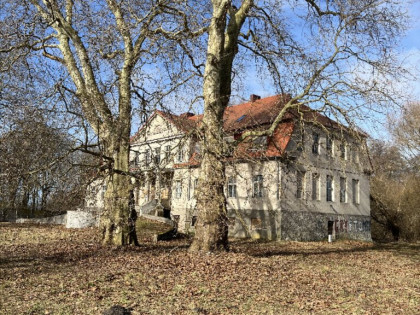 Na sprzedaż Pałac w Skórzynie!