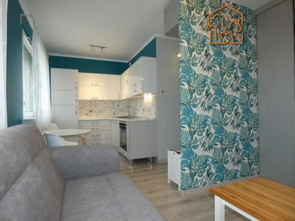 Kawalerka, piwnica, pet-friendly  - Wilka 10