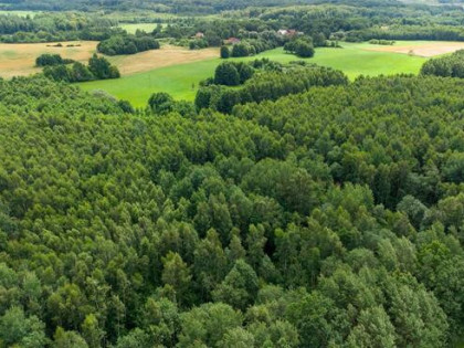 Działka siedliskowa Nowe Mieczysławy gm. Miłakowo