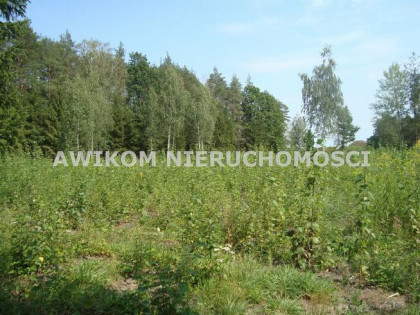 Działka budowlana Zaręby gm. Żabia Wola