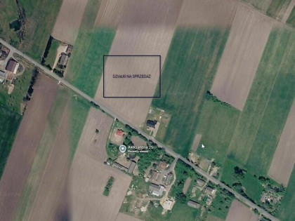 Bezpośrednio Sprzedam Działki Aleksandria Powiat Żyrardowski
