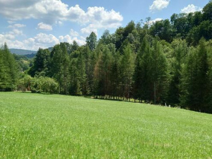 Działka BUDOWLANA 30 ary Bieszczady, Bóbrka, k. SOLINA