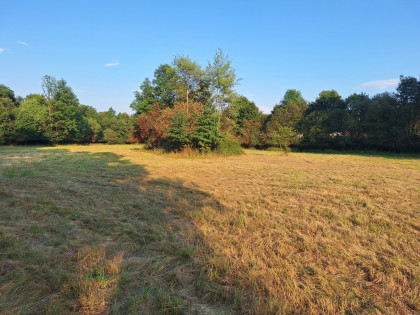1950 m² działki w otoczeniu natury – Stryszawa