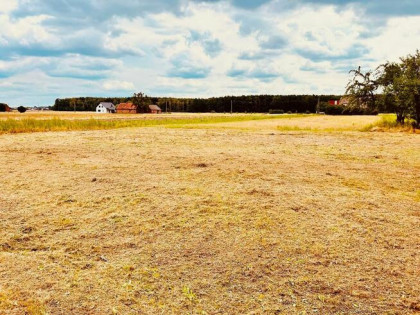 Działka budowlana 11.62 ar / Żabiniec gm. Kluczbork