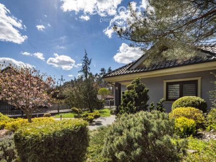 Gotowy dom 254 m² w otoczeniu lasu!