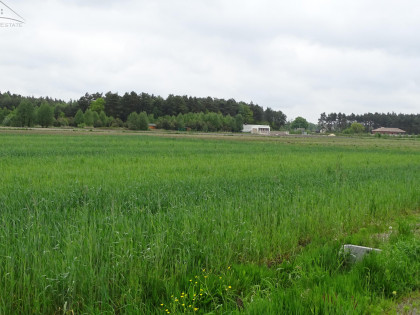 Działka Kuźnica