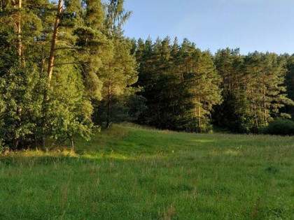 Sprzedam dzialke lesno -budowlana