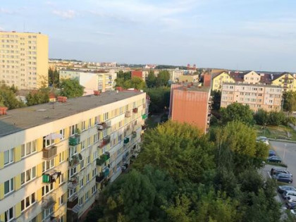sprzedam/zamienię/życie za życie - mieszkanie 40m2 + ROD 2x3