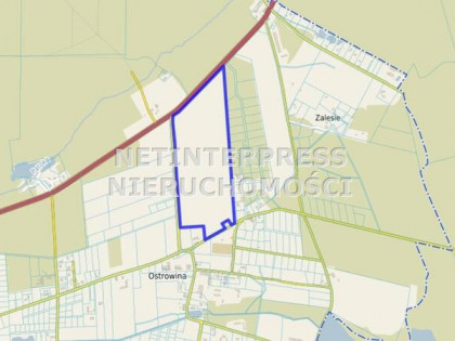 Działka przemysłowa Oleśnica Ostrowina