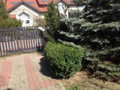 Wynajmę segment