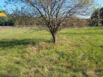 Działka budowlana Wólka Pracka -Złotokłos gm. Piaseczno
