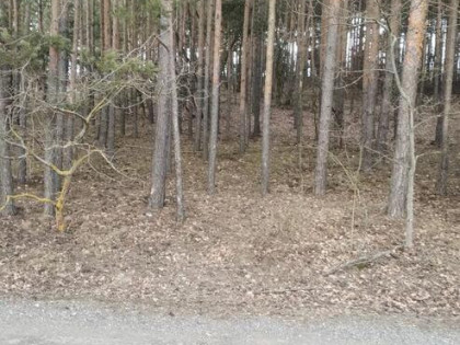 Sprzedam działkę rolno leśna gmina Brochów 1600m2