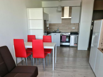Komfortowe mieszkanie 43 m2 na wynajem- ul. Turniejowa, Krak