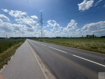 Działka Kępa gm. Szamotuły