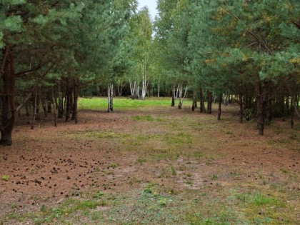Sprzedam działkę 1,08ha