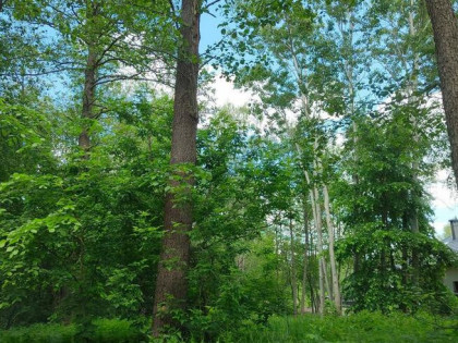 Oferta dla dewelopera Akcyjna działka Otwock ul.Zeromskiego