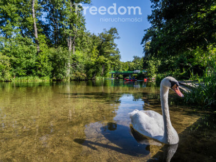 Działka i biznes z linią brzegową Mazury