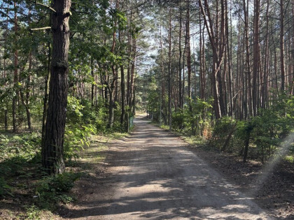 Działka budowlana w lesie, Łosie koło Radzymina
