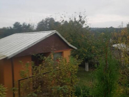Dzialka