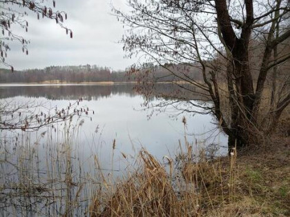 Działka Gąski 18/5 - płaski teren z linią brzegową jeziora