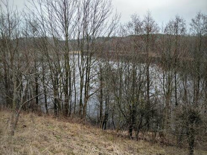 Gąski 17/5 gm. Olecko - działka z linią brzegową jeziora