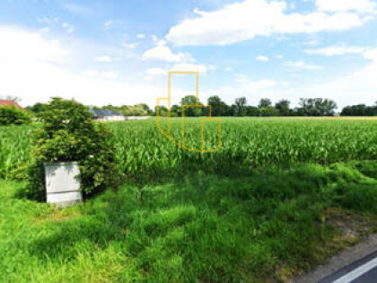 Szukalice, działka budowlana 43100 m2, media