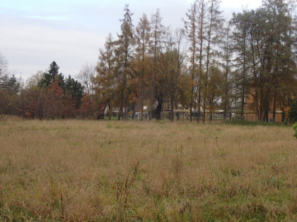 Sprzedaż niezabudowanej nieruchomości w atrakcyjne Ochaby Małe