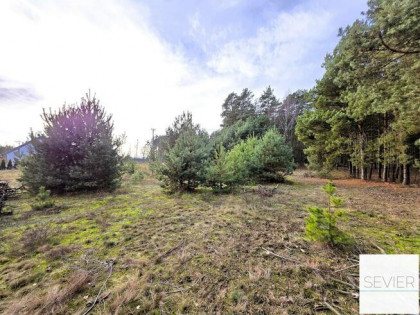 DZIAŁKA 2935 m² POD LASEM – BIEŃKI-ŚMIETANKI, GM. SOŃSK