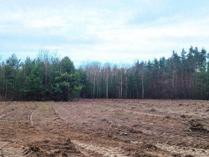 Sprzedam 1000 m2 Piskórka gm. Prażmów BUDOWLANA
