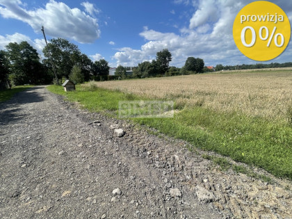 Dostęp do stawu ok 20m,zielony zagajnik  .Tułowice