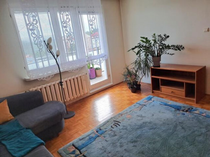 2-pokojowe mieszkanie 45 m² + 13 m² balkon