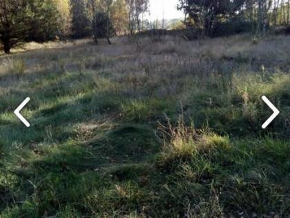 Działka rolna 2,07 ha – Kiczki 2, gm. Cegłów – tylko 69 000