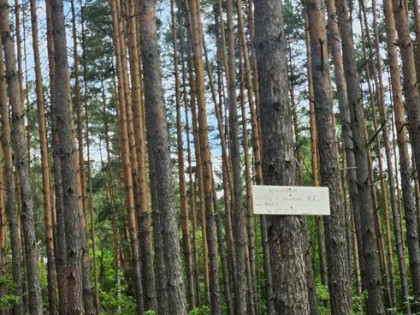 Zagórze k. Warszawy – teren ok. 6288 m² przy Centrum Neurops