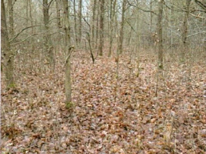 Nieruchomość - Starachowice