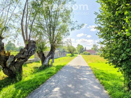 Działka budowlana Ząbrowo- gm. Stare Pole.