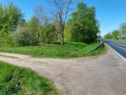 Działka inwestycyjna Wola Koszucka-Parcele gm. Słupca