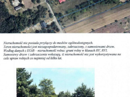 Konkurs ofert - udział 1/3 w prawie własności