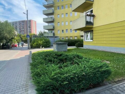 Mieszkanie Poznań gm. Poznań-Grunwald Grunwald, Smardzewska