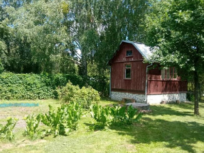 Działka ROD Plażowy w Białymstoku
